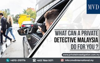 What can a private detective Malaysia do for you?
